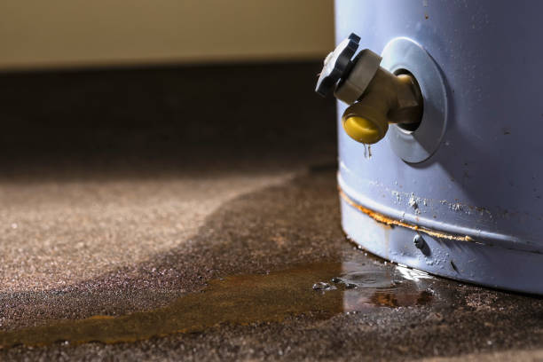 Best Emergency water damage restoration  in Rice, MN