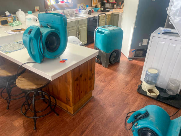 Best Water damage contractors near me  in Rice, MN