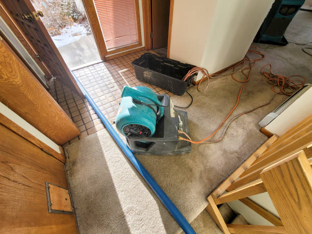 Best Water damage restoration near me  in Rice, MN