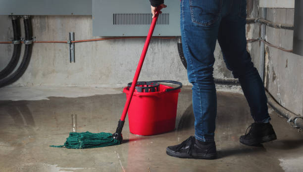 Best Sewage cleanup and water damage restoration  in Rice, MN
