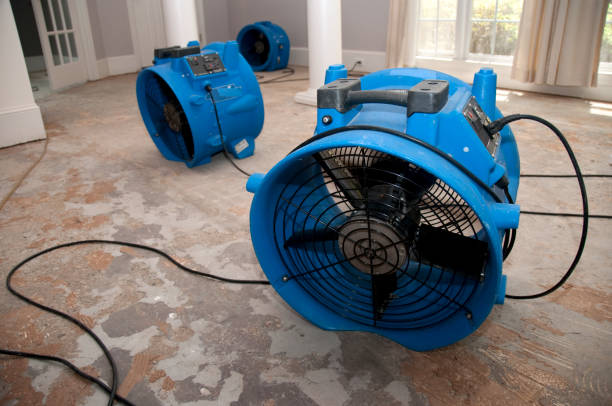 Reliable MN Water damage restoration Solutions