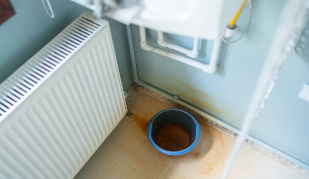 Best Local water damage restoration  in Rice, MN