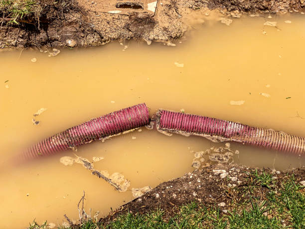 Best Commercial water damage restoration  in Rice, MN