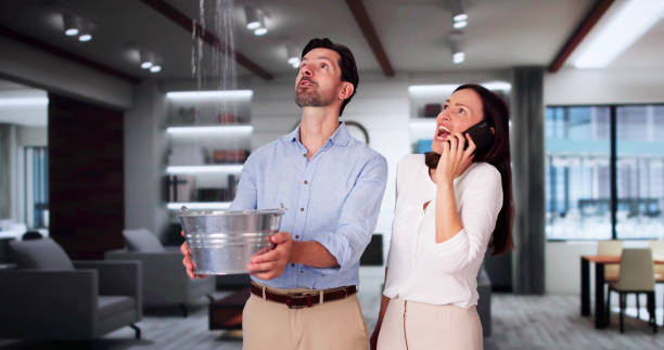 Best Water damage restoration cost  in Rice, MN